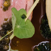 Boka bord på våra populäraste restauranger Restaurangbild