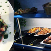 Boka bord på våra populäraste restauranger Restaurangbild