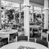 Boka bord på våra populäraste restauranger Restaurangbild