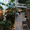 Boka bord på våra populäraste restauranger Restaurangbild