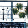 Boka bord på våra populäraste restauranger Restaurangbild