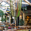 Boka bord på våra populäraste restauranger Restaurangbild