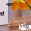 Boka bord på våra populäraste restauranger Restaurangbild