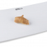Nigiri Tofu