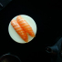 Sake Nigiri x2