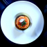 Salmon Tartare