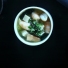 Miso Soup Shrimp