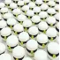 Macarons student