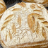 Rostad dinkel