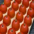 Pralin Passionsfruktkaramell (pumpa)
